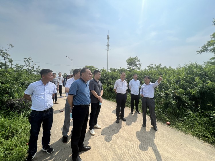 U乐国际(中国)集团