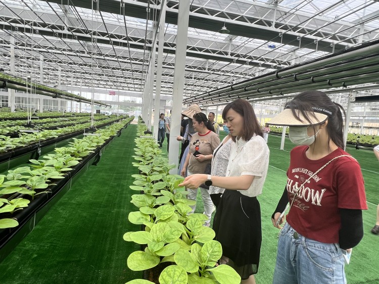 U乐国际(中国)集团