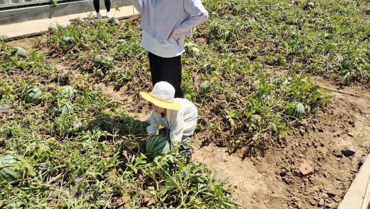 U乐国际(中国)集团