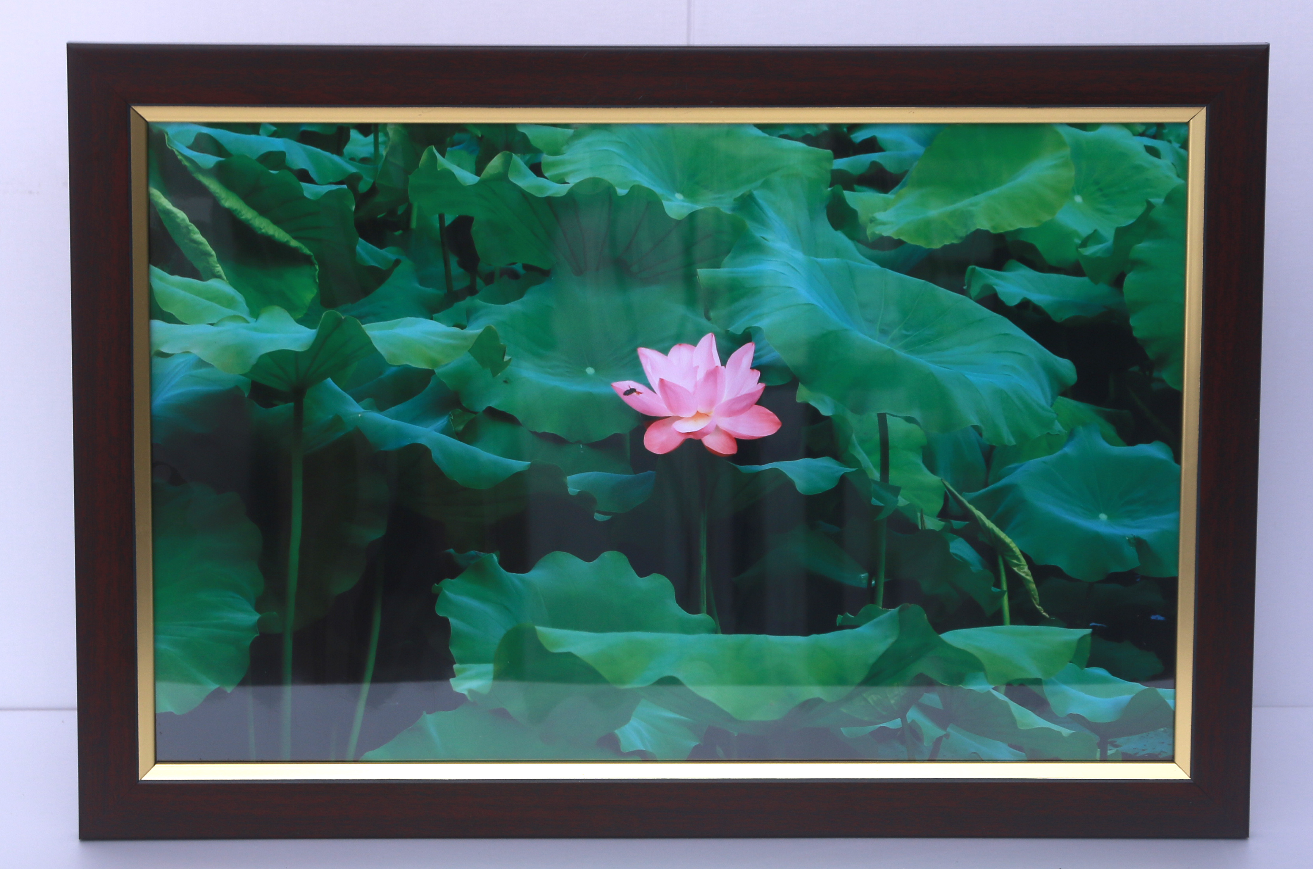 U乐国际(中国)集团