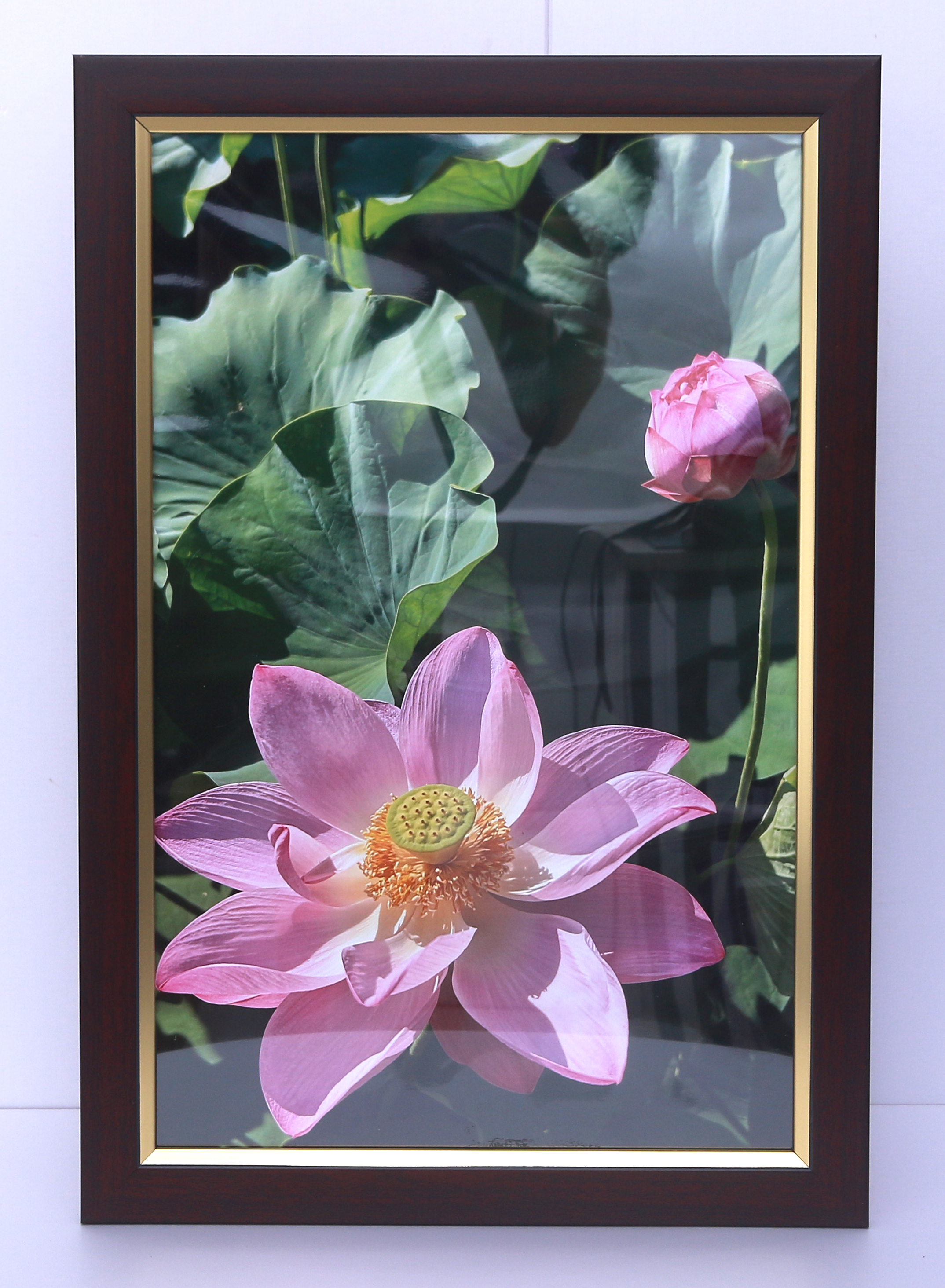 U乐国际(中国)集团