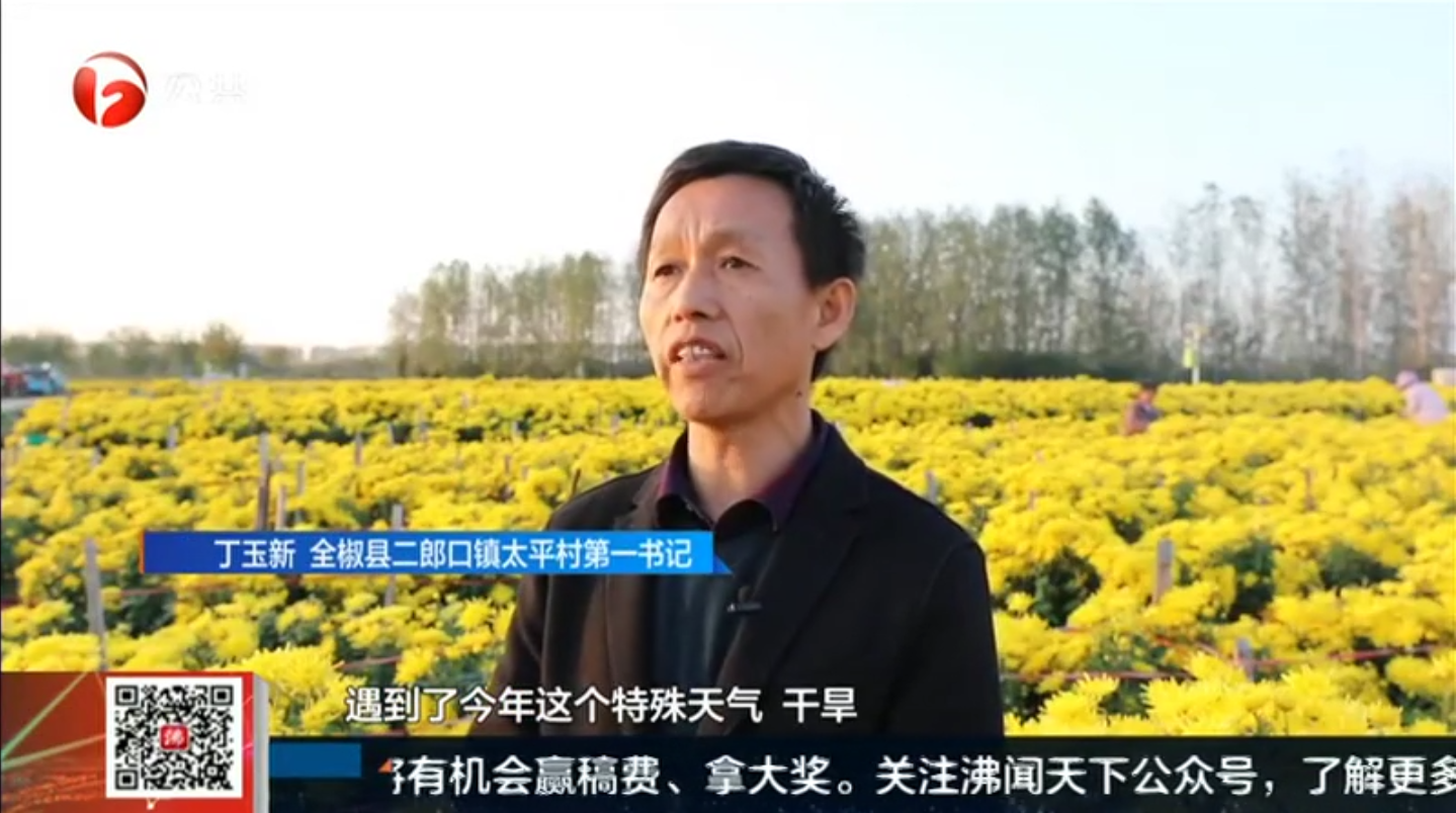 U乐国际(中国)集团