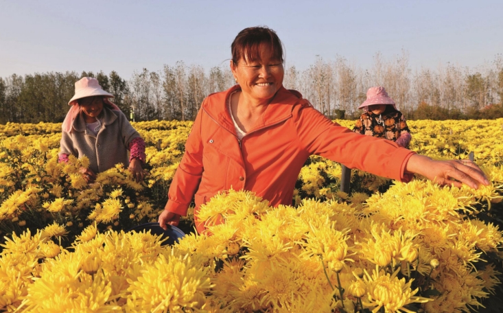 U乐国际(中国)集团