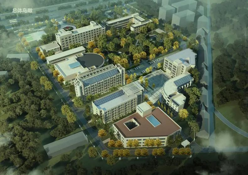 U乐国际(中国)集团