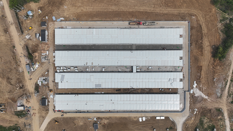 U乐国际(中国)集团