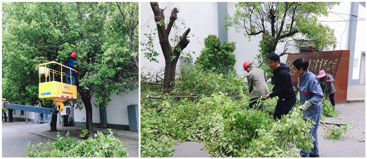 U乐国际(中国)集团